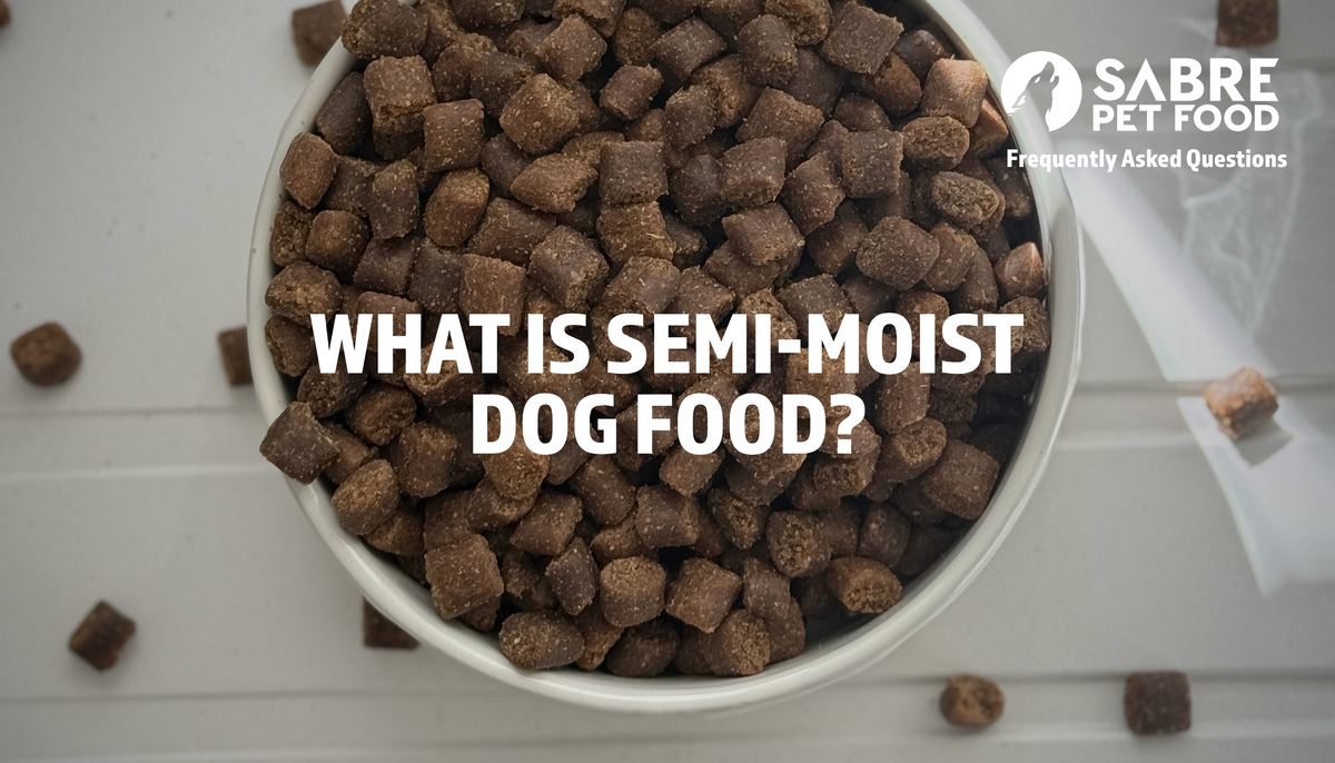 What is Semi-Moist Dog Food?
