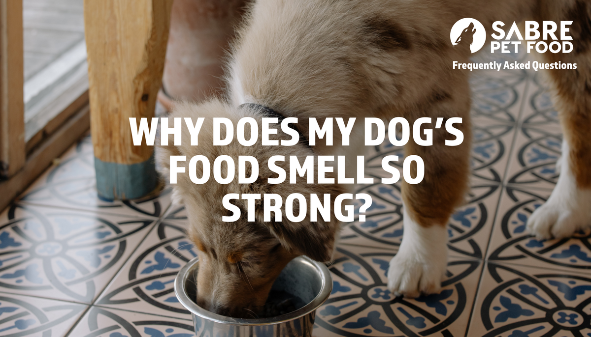 Why does my dog's food smell so strong?