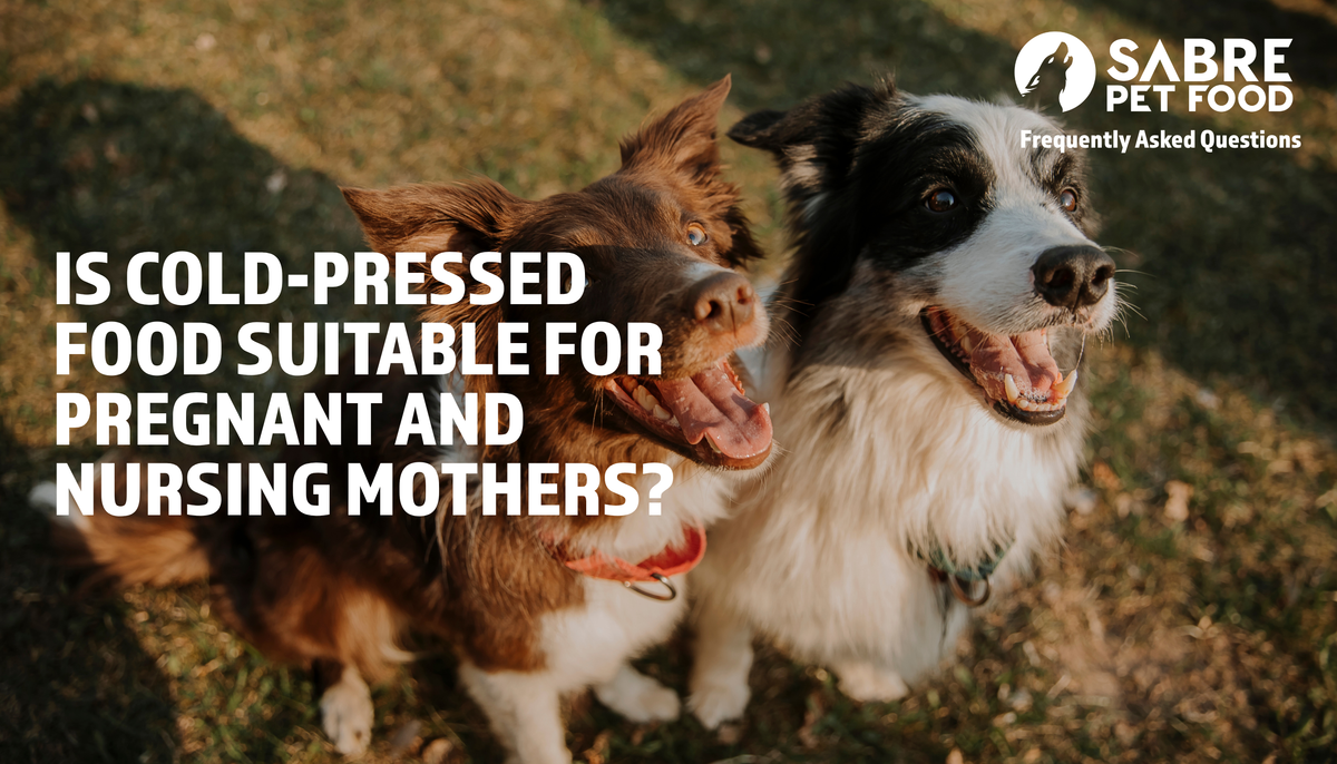 Is cold-pressed dog food suitable for pregnant and nursing mothers, as well as weaning puppies?