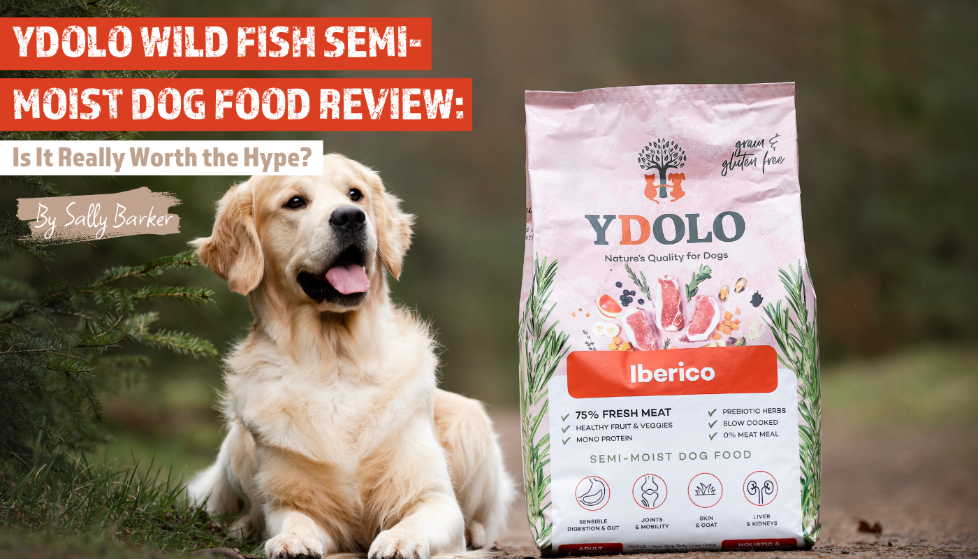 YDOLO Wild Fish Semi-Moist Dog Food Review: Is It Really Worth the Hyp